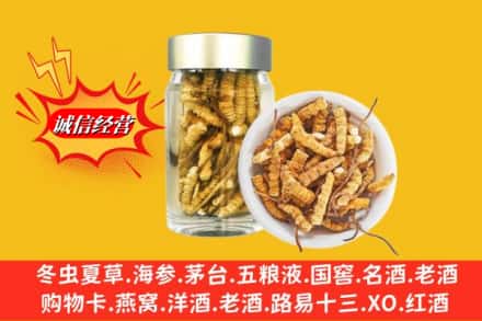 宽城区回收散虫草